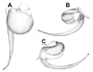 Figure 40