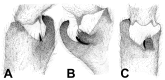 Figure 42