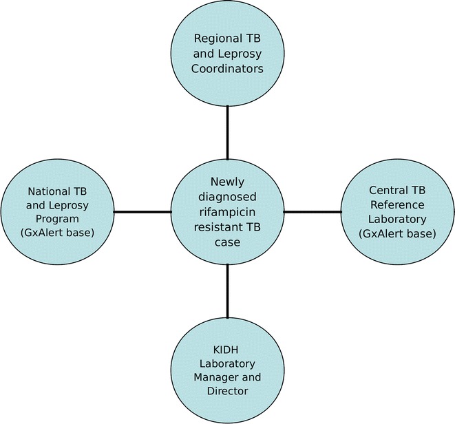 Fig. 1