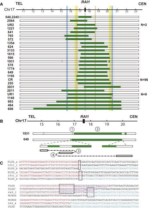 Figure 1