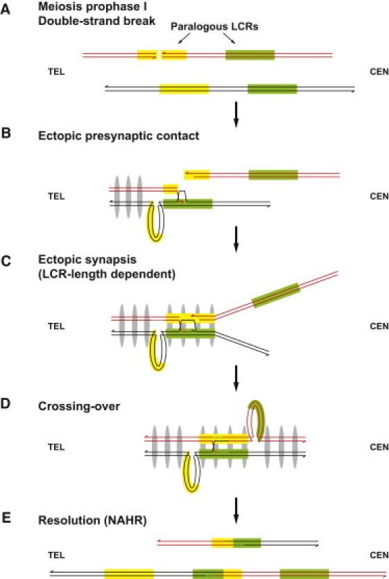 Figure 3