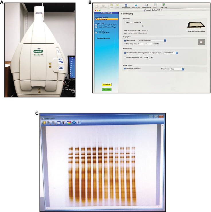 Figure 3