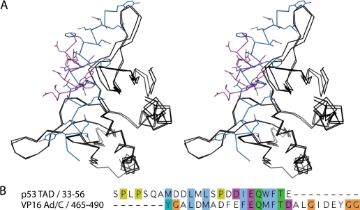 FIGURE 9.