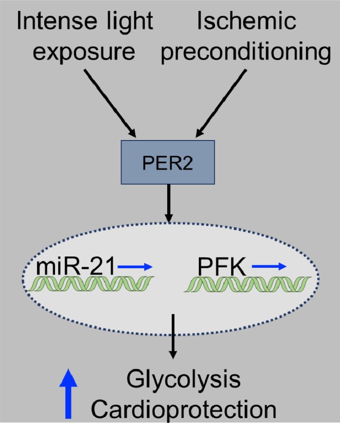 Fig 7