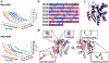 Figure 2 |
