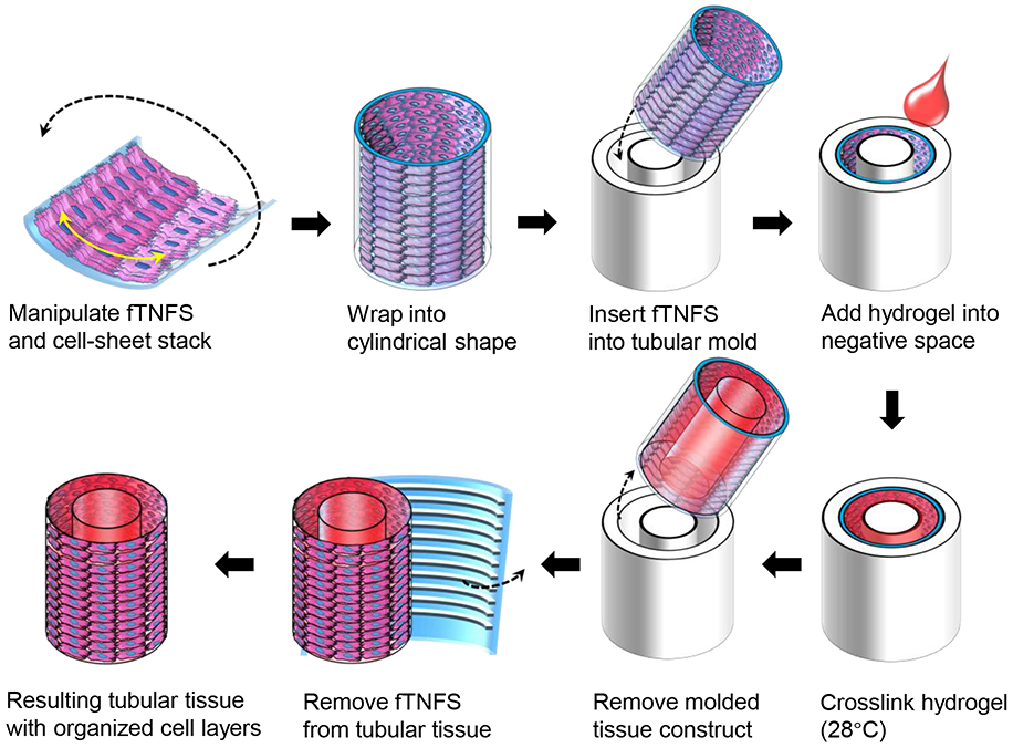 Figure 2.