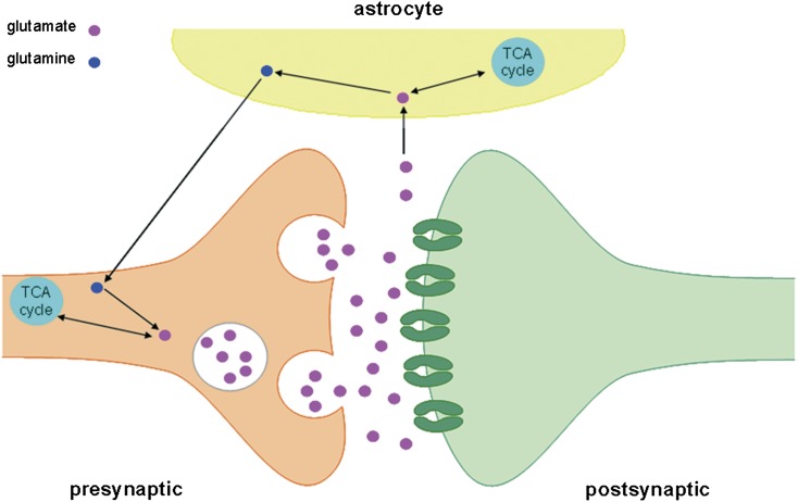 Fig. 1.