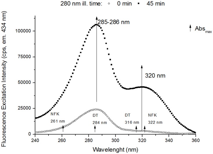 Fig 10