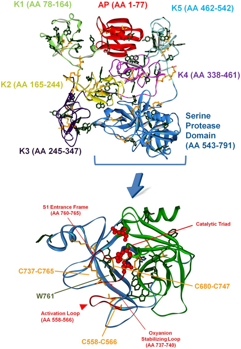 Fig 1