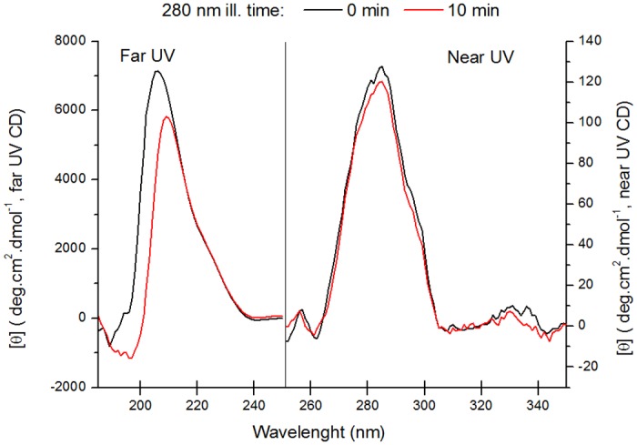 Fig 11