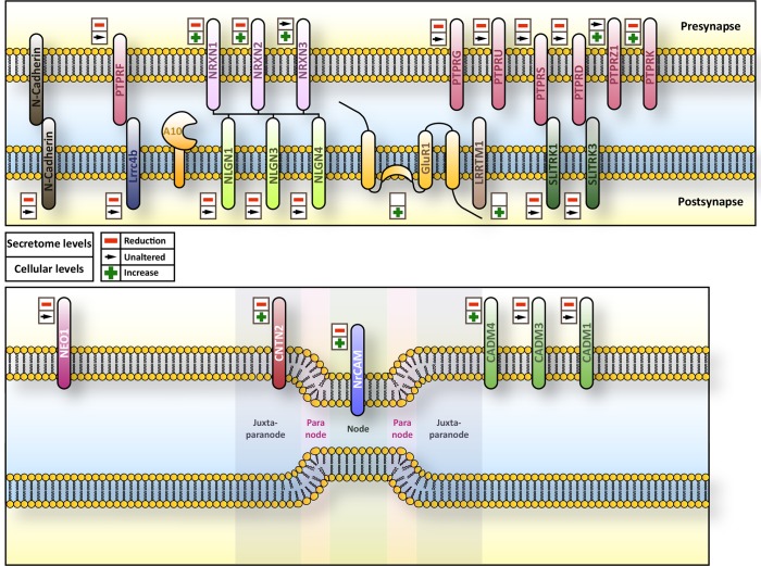 Figure 7.