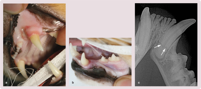 Figure 20