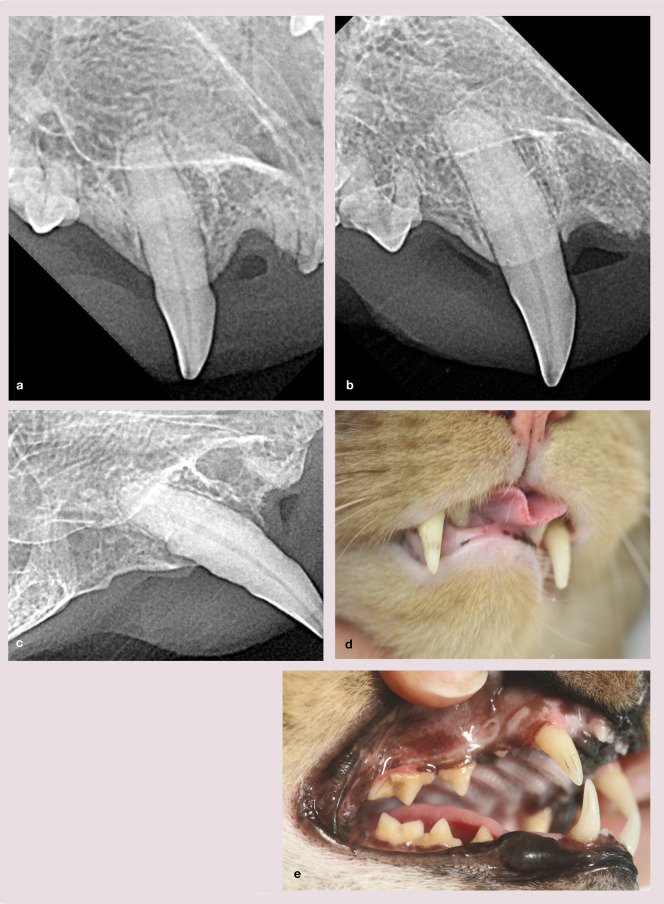 Figure 21