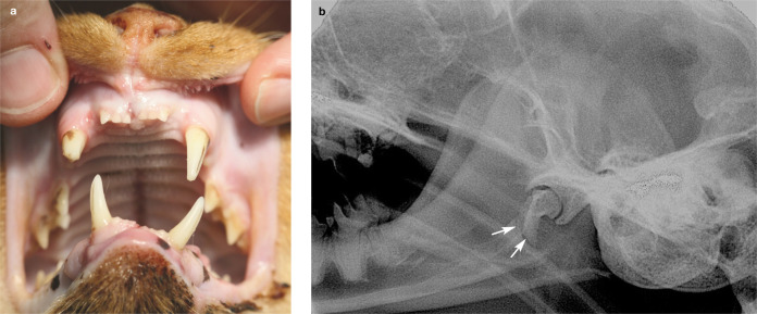 Figure 16