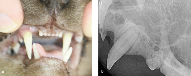 Figure 22