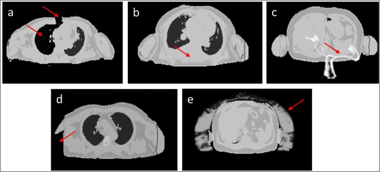 Fig 6