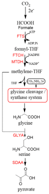 Figure 8