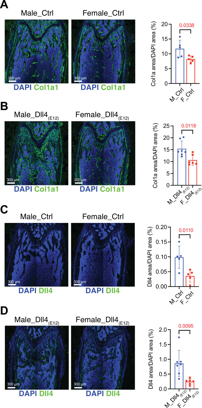 Figure 6—figure supplement 1.