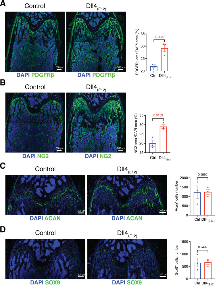 Figure 3—figure supplement 2.