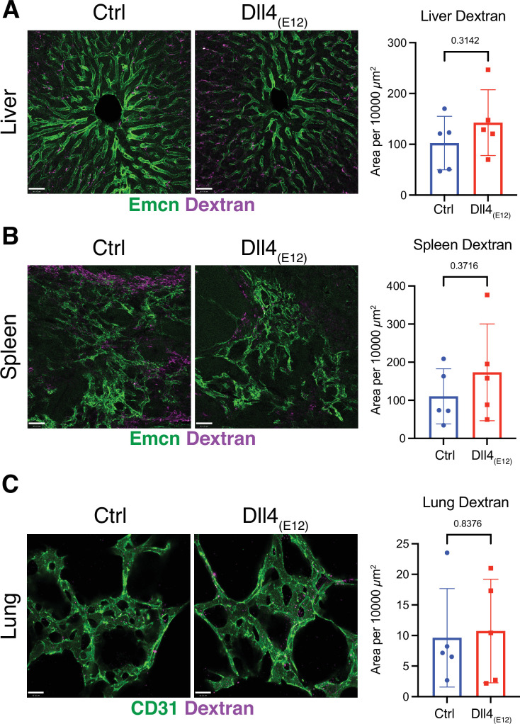 Figure 2—figure supplement 2.