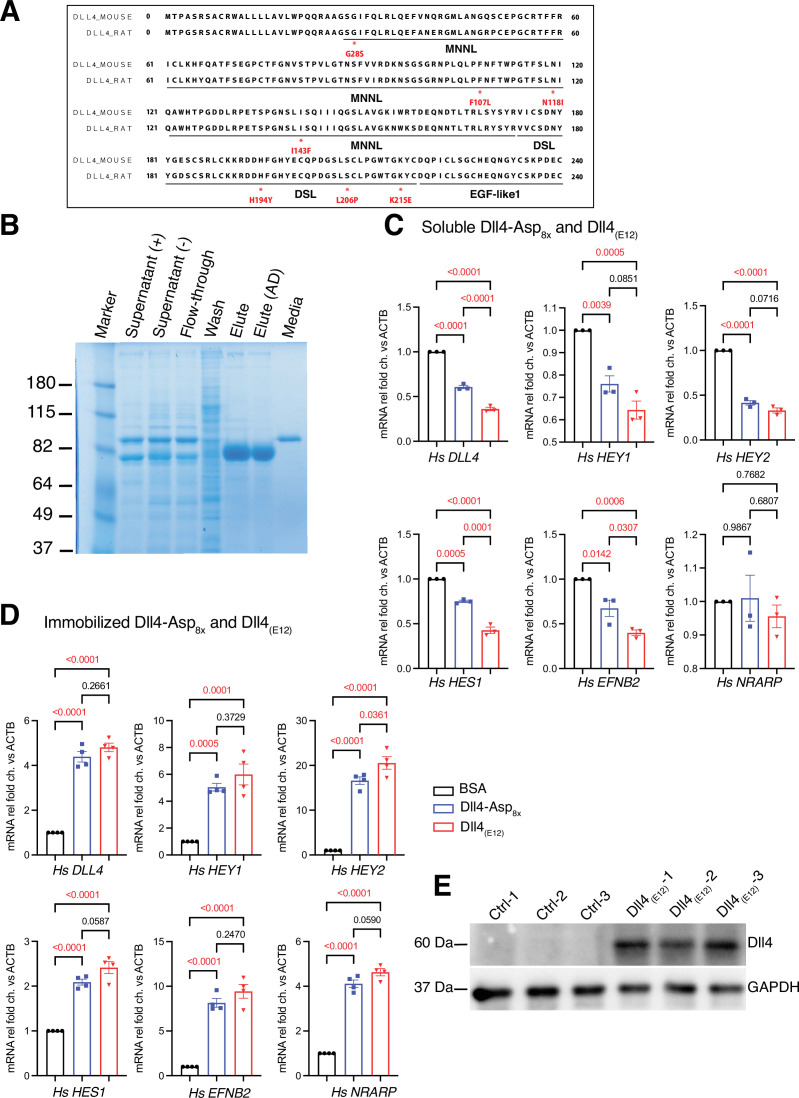 Figure 1—figure supplement 4.