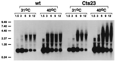 FIG. 8