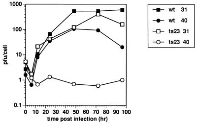 FIG. 9