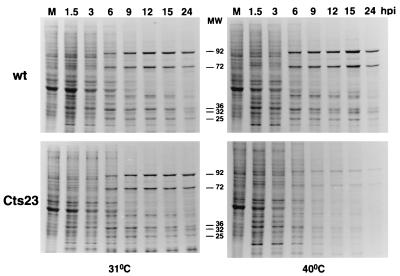 FIG. 10