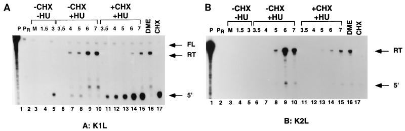 FIG. 5