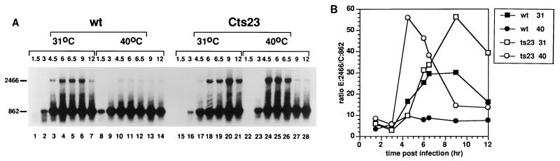 FIG. 7