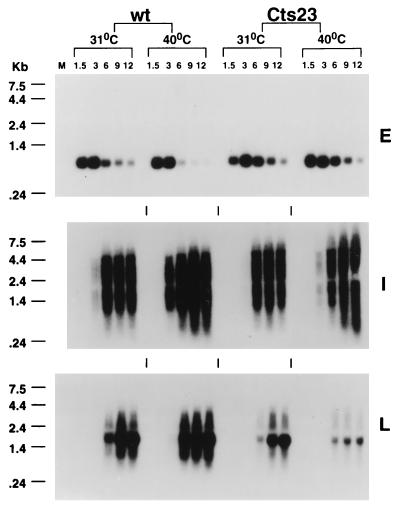 FIG. 11