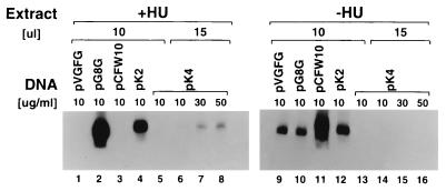 FIG. 6