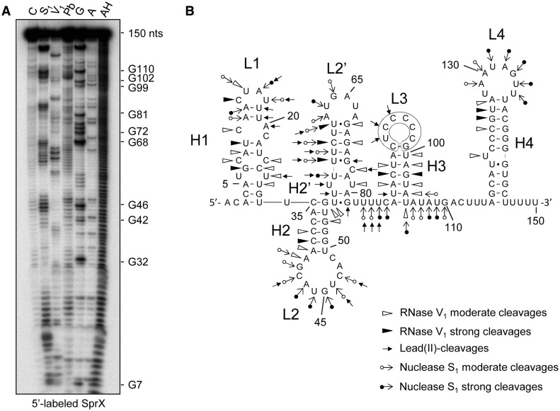 Figure 4.