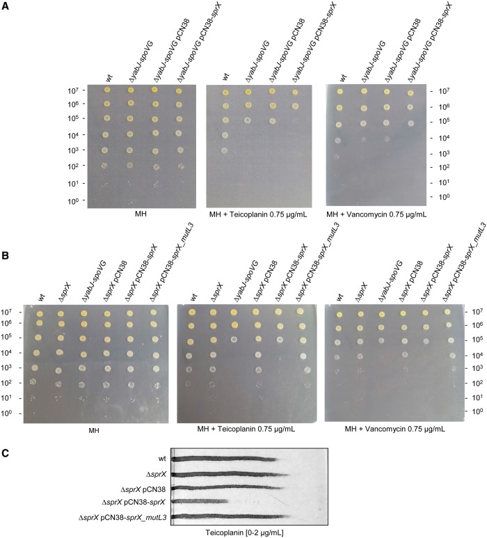 Figure 7.