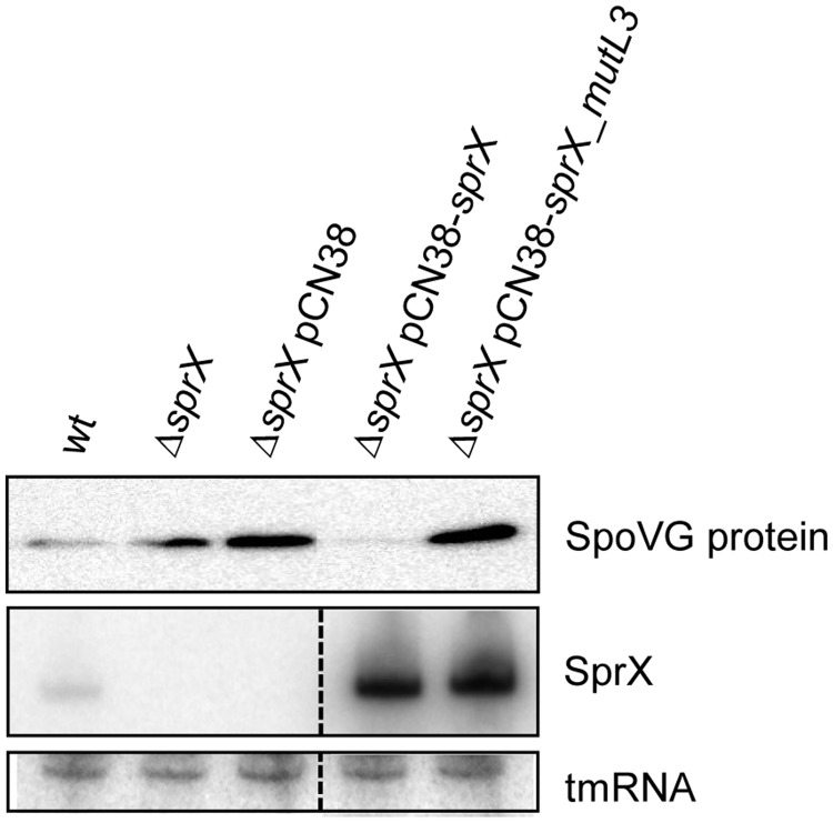 Figure 6.