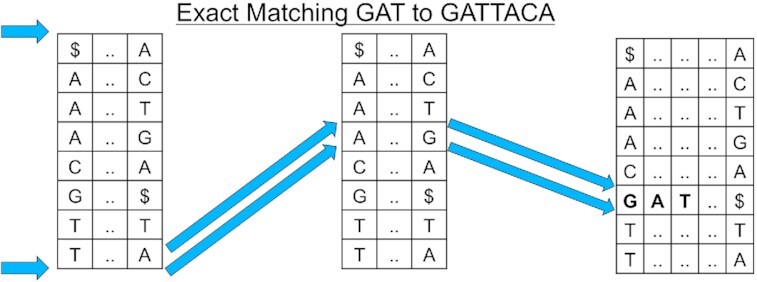 Figure 6: