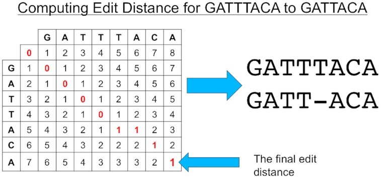 Figure 7: