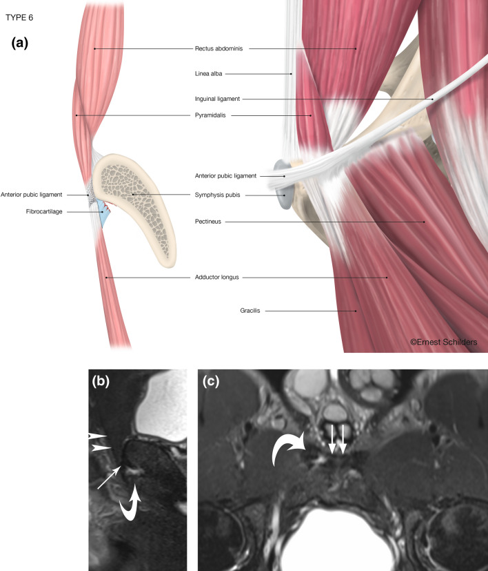 Fig. 7