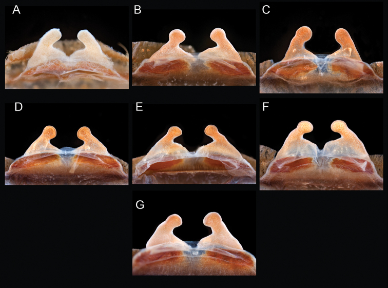 Figure 18.