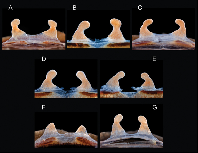 Figure 136.