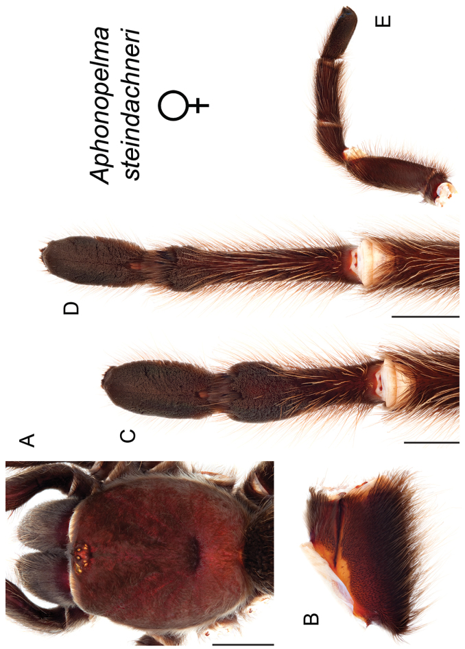 Figure 135.