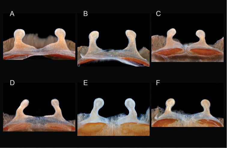 Figure 103.