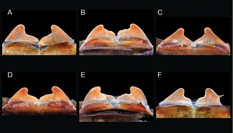 Figure 48.