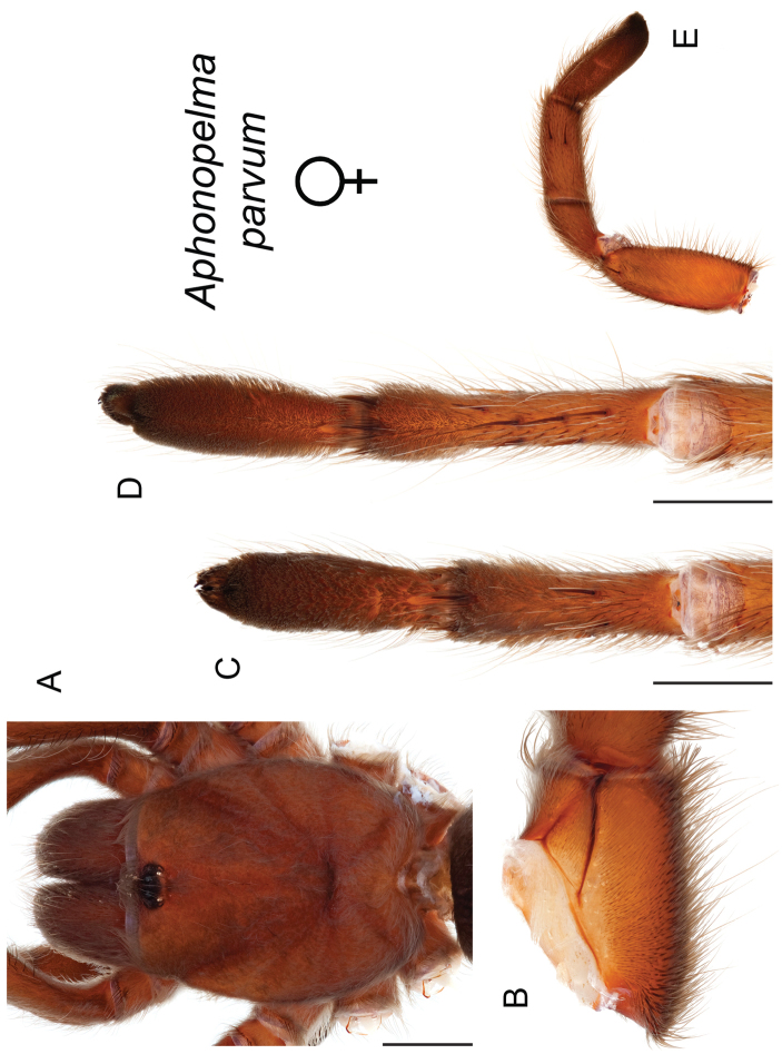 Figure 114.