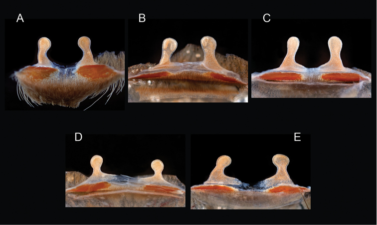 Figure 59.