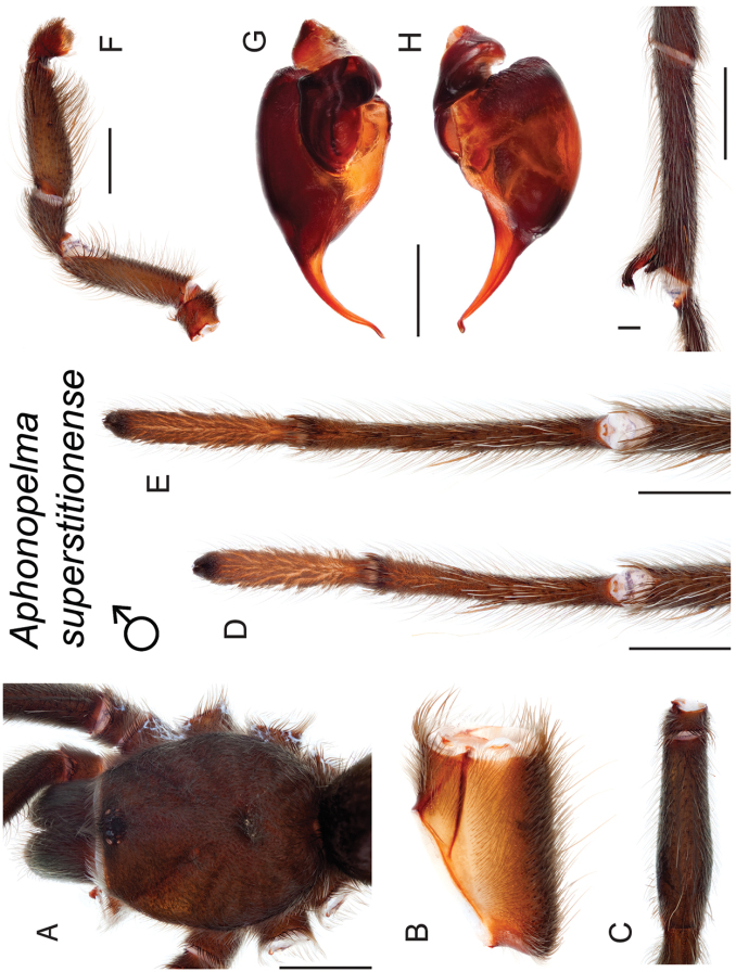 Figure 139.