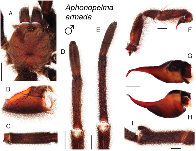 Figure 16.