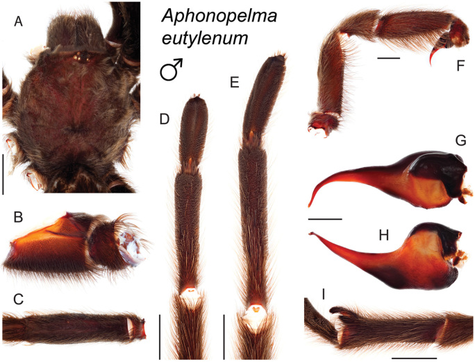 Figure 41.