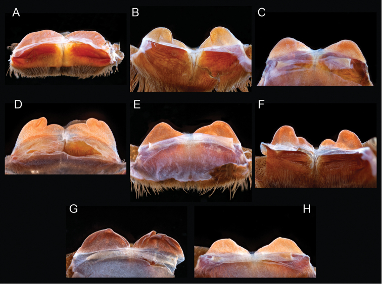 Figure 12.