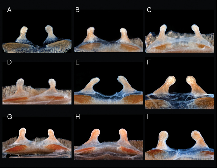 Figure 109.